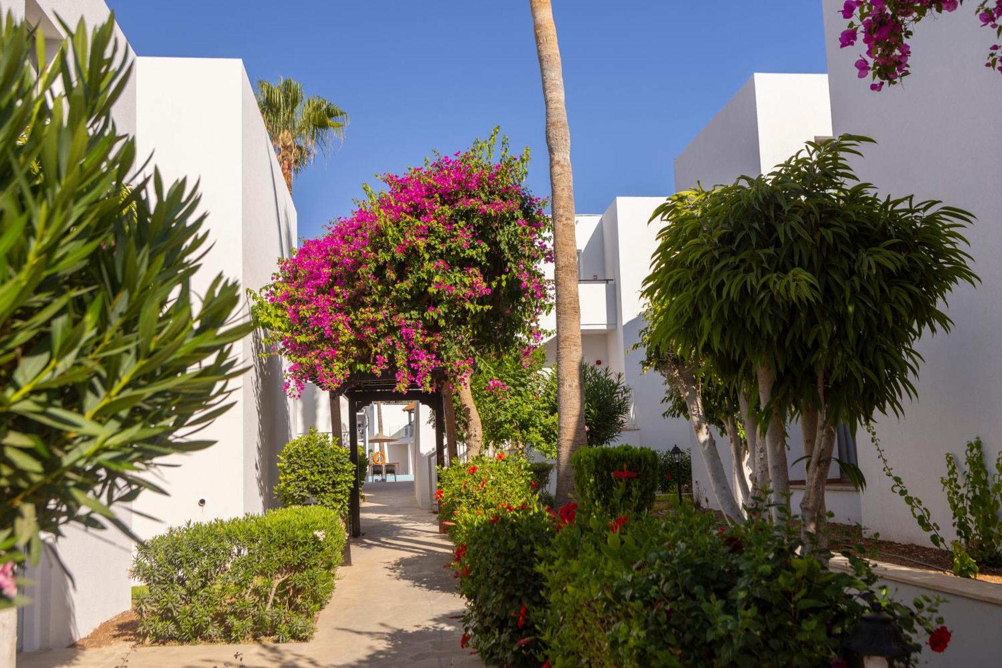 Kapetanios Aqua Resort Coral Bay Exterior photo